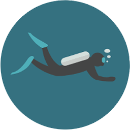 dive_icon